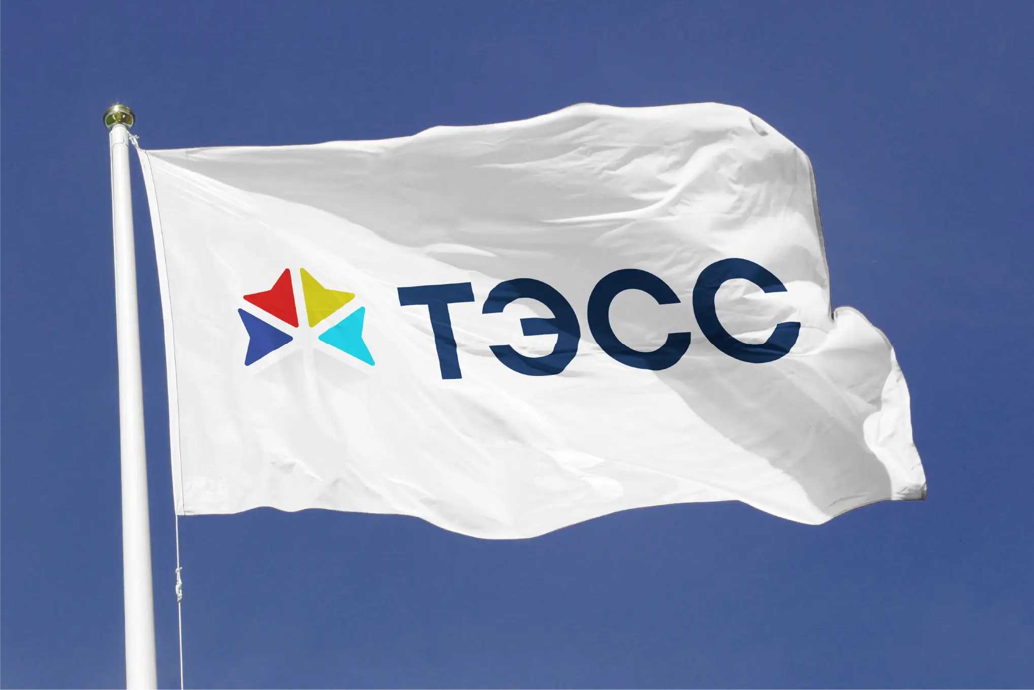 tess gallery image 1